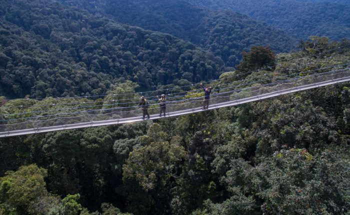 Nyungwe Park